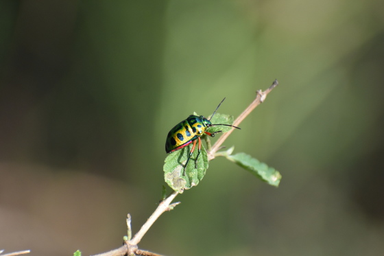 DSC_0049.JPG
