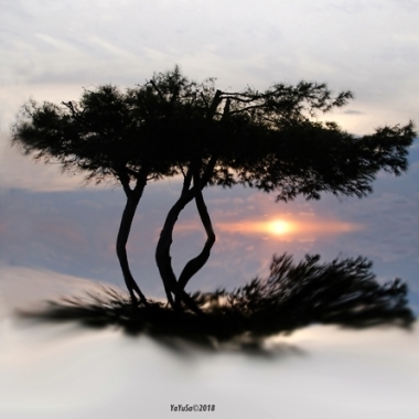 Fotografia Con Impacto Visual