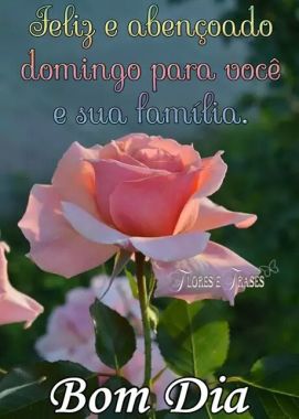 Limpeza Em Domicílio .