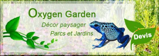 Oxygen Garden