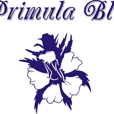 Centro Estetico Primulablu