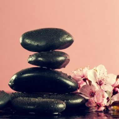 Personal Spa Masseur