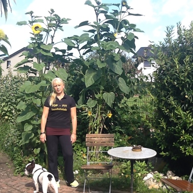 Topfit Gesundheitsstudio -Physio