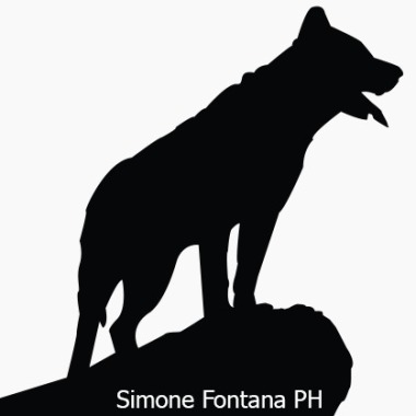 Simone Fontana 