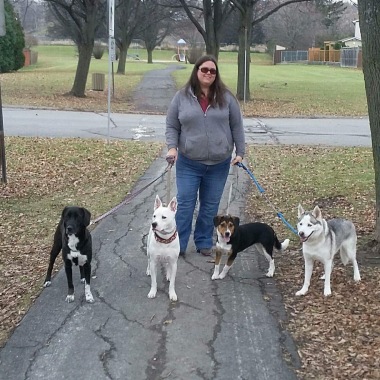 Amanda’S Bark Lounge