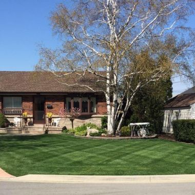 egendary Landscapes - Your Partner In Landscaping.  We are a family owned and operated landscaping company offering both commercial and residential landscape solutions. We specialize in Residential and Commercial Landscape Maintenance, Garden Design and Installation and Sod..jpg