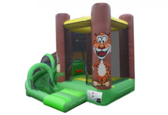 Tigre, 50€ / jour