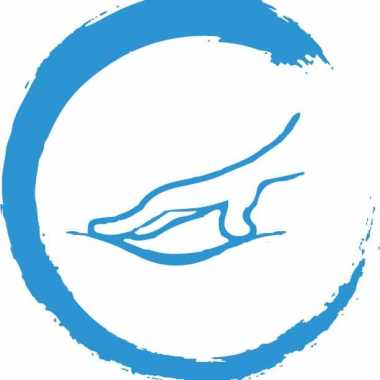Massoterapia E Shiatsu