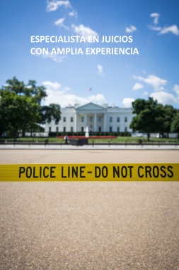 GRAN EXPERIENCIA EN JUICIOS