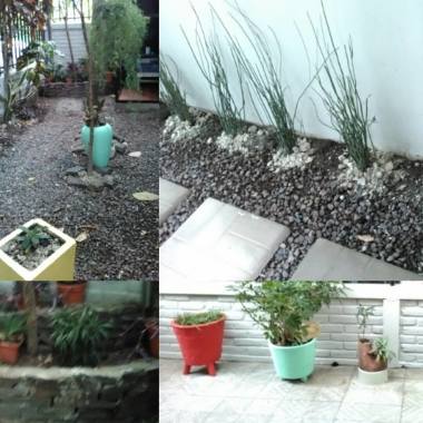diseño y montaje de jardin en oficinas en san salvador