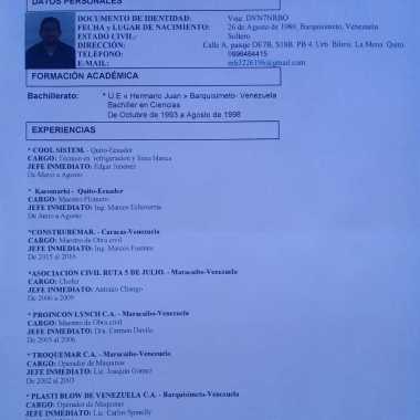 Los Tulios