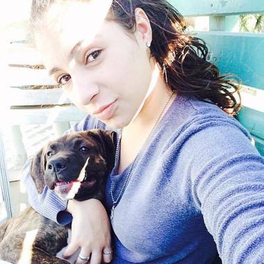 Dog Walker