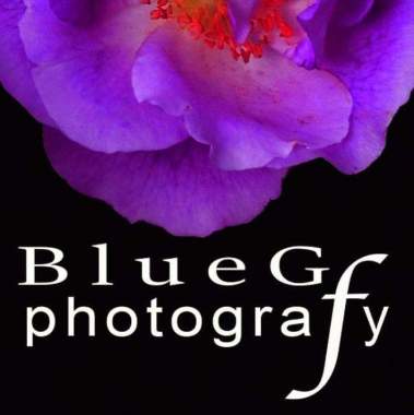 Bluegphotografy