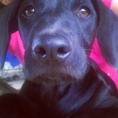 me llamo neron 