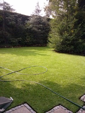 MANTENIMIENTO DE JARDINES