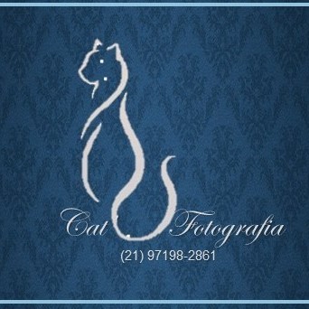 Cats Fotografia