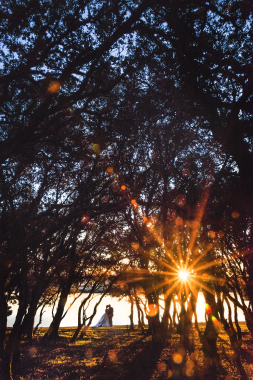 Sol de tarde.JPG