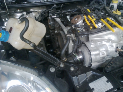 échange distribution de fiat bravo