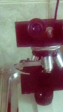 19021901_1494661877223995_1041628624_n.jpg
