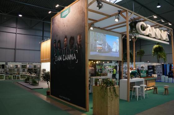 Canna stand
