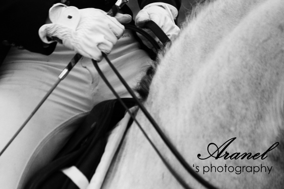 Aranel's photography