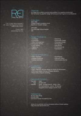 Exemple d'un autre CV