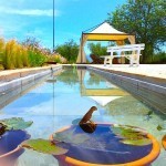 Locationfood Di S.Vittoria