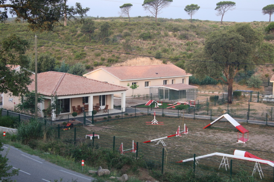 Centre canin complet installé dans la forêt méditerranéenne