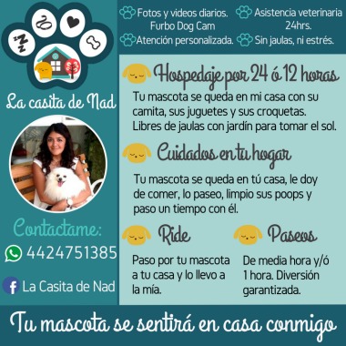 Servicios