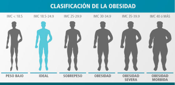 Clasificación del Estado Nutricional