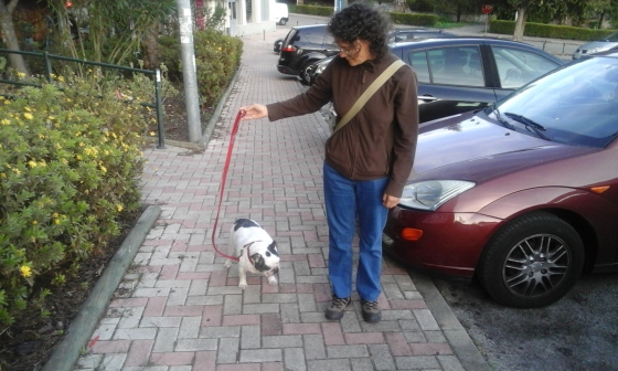 Serviço de Dog Walker - Oeiras