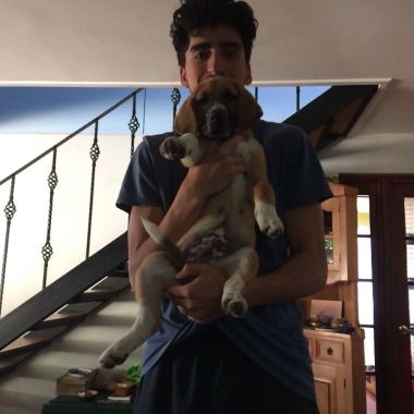 Encantador De Perros