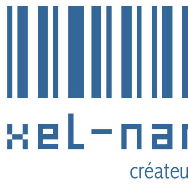 Pixel-Nantes