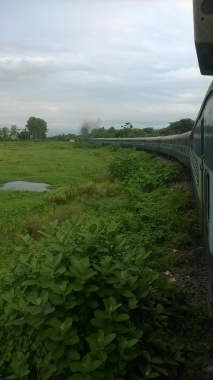 NORTH BENGAL - TRAIN WITHIN JUNGLE