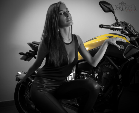 golden studio © 2015