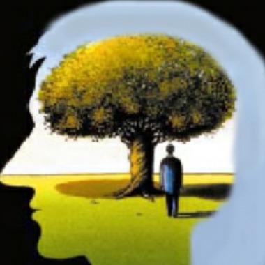 Psychologue