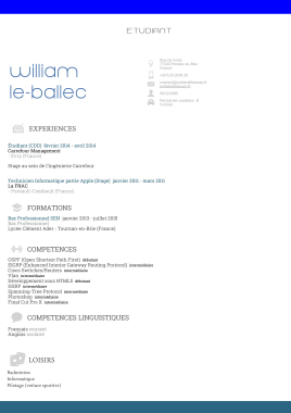 Exemple CV