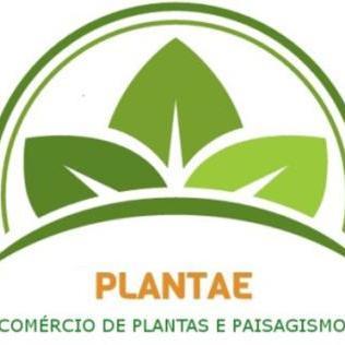 Plantae Paisagismo