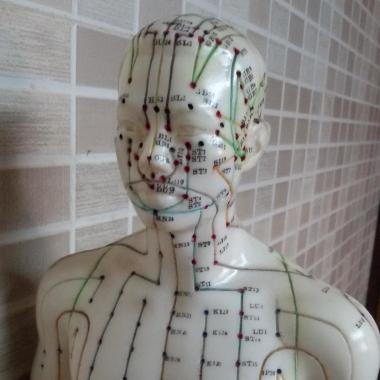 Acupuncture And Homeopathic Clinic