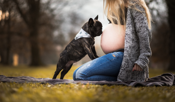 Babybauch - Shooting