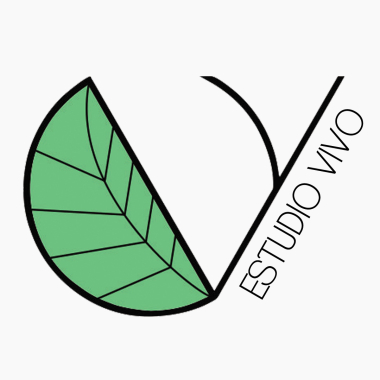 Estudiovivo Arquitectura