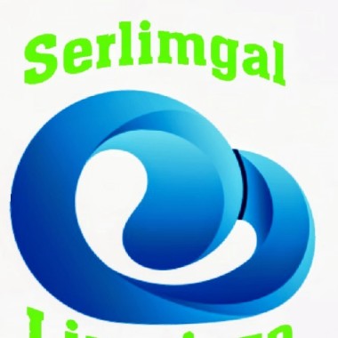 Serlimgal Servicios Integrales