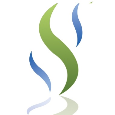 Ssmv Services