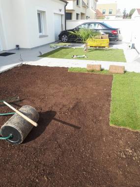 creation pelouse rouleau