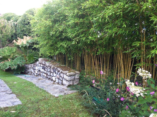 Jardin paysager Guethary