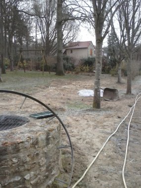 plantation de bambou 1