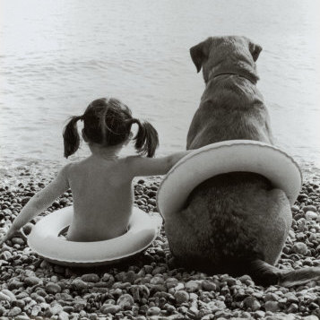 Happyanimals15