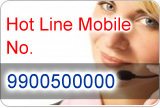 Lion packers Hot Line Number