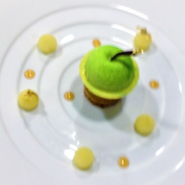 Atelierscelea