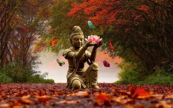 Tous les jours je traivail pour le bien être des personnes qui en on besoin je suis là pour vous guider et vous aider a trouver votre chemin de destiné.
Erika